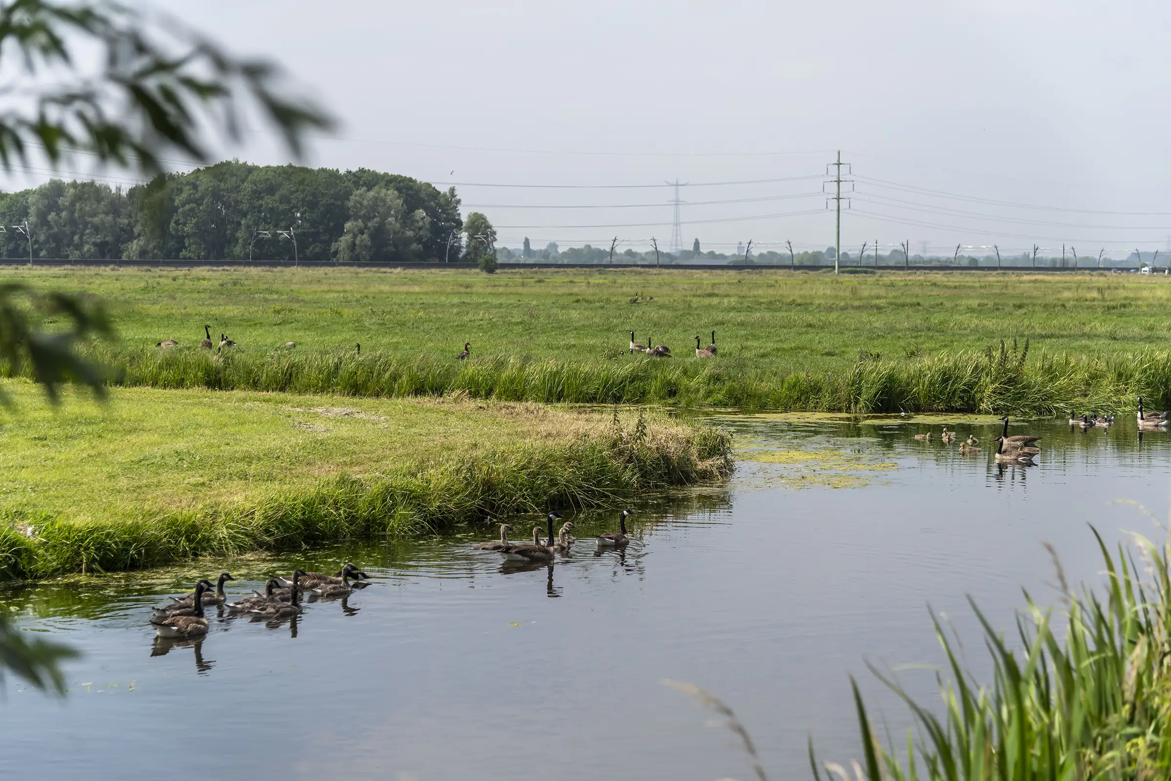 Hardinxveld Giessendam 6834