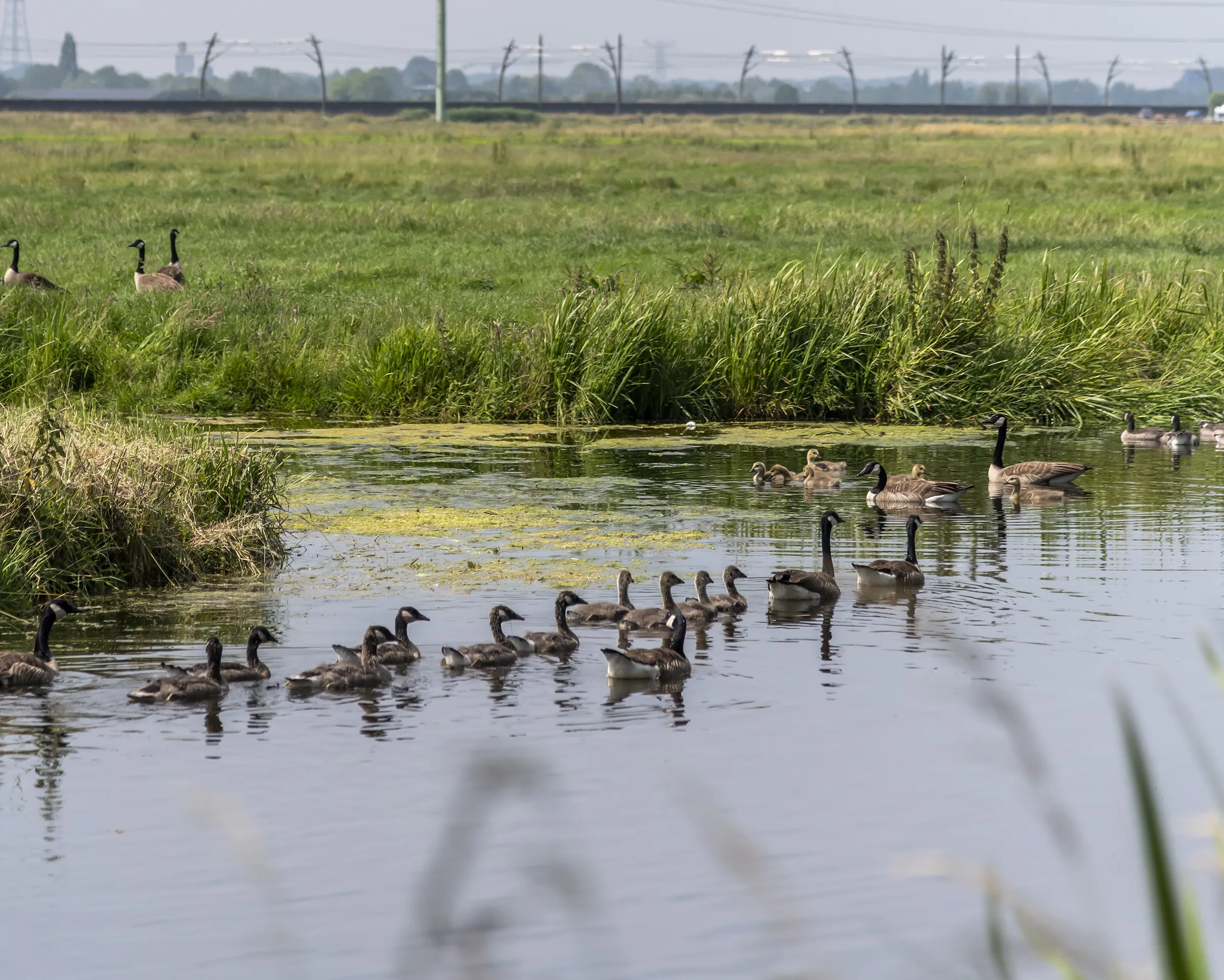 Hardinxveld Giessendam 6839